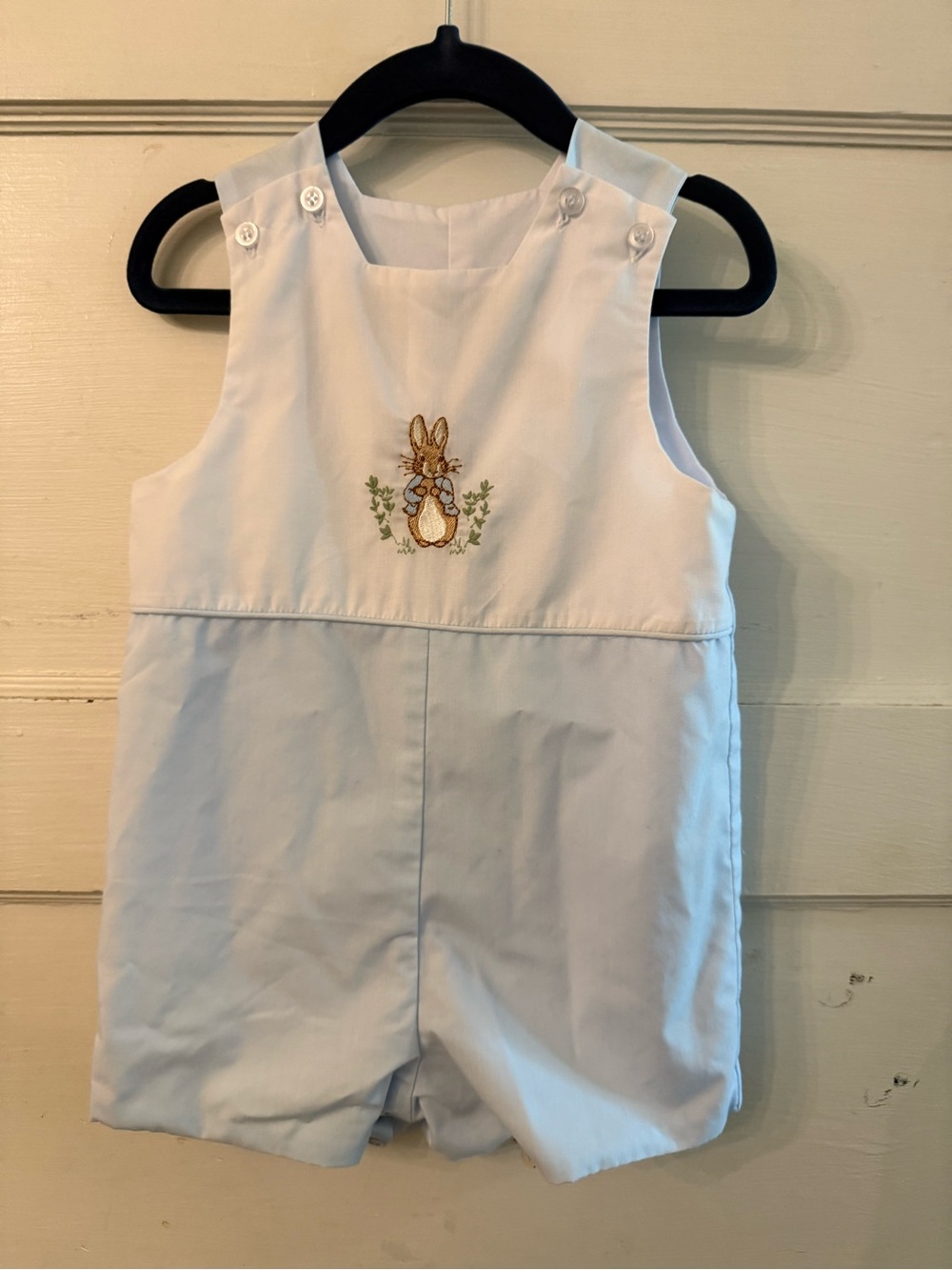 Light Blue Embroidered Bunny Shortall for Kids